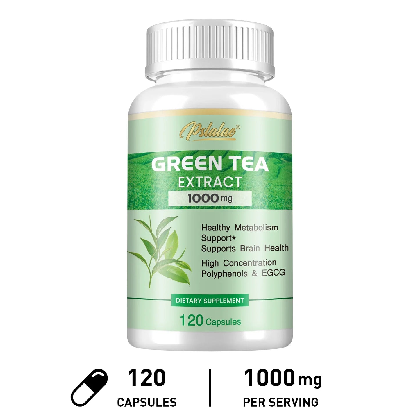 Green Tea Extract - Burning & Inhibiting Fat Control Appetite, Gut Health, Weight Management