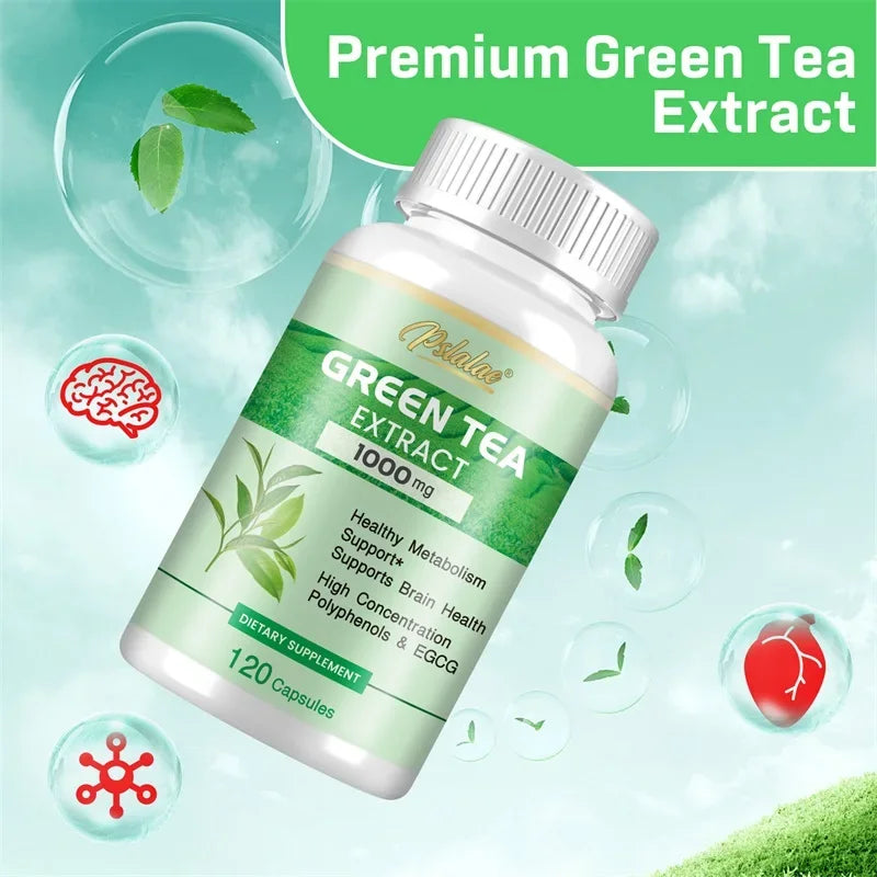 Green Tea Extract - Burning & Inhibiting Fat Control Appetite, Gut Health, Weight Management