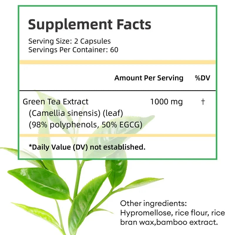 Green Tea Extract - Burning & Inhibiting Fat Control Appetite, Gut Health, Weight Management