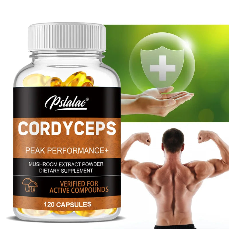 Cordyceps Capsules - Contains Organic Cordyceps Militaris To Support Immune Health, Boost Energy and Maintain Vitality, Non-GMO