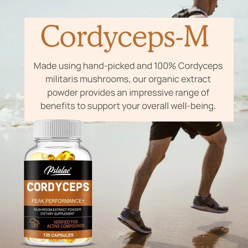 Cordyceps Capsules - Contains Organic Cordyceps Militaris To Support Immune Health, Boost Energy and Maintain Vitality, Non-GMO