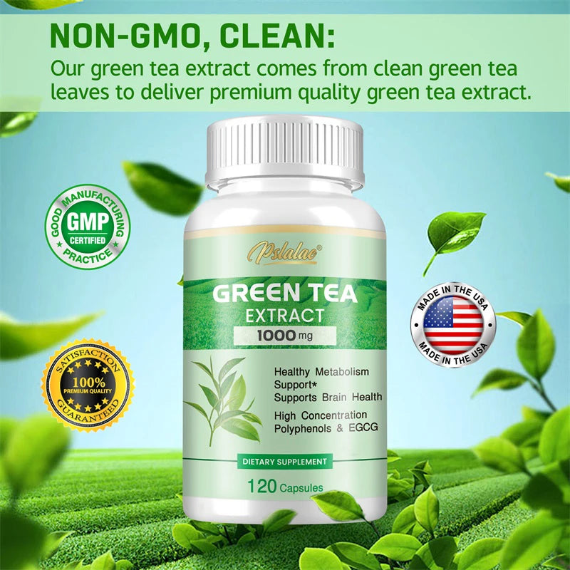 Green Tea Extract - Burning & Inhibiting Fat Control Appetite, Gut Health, Weight Management